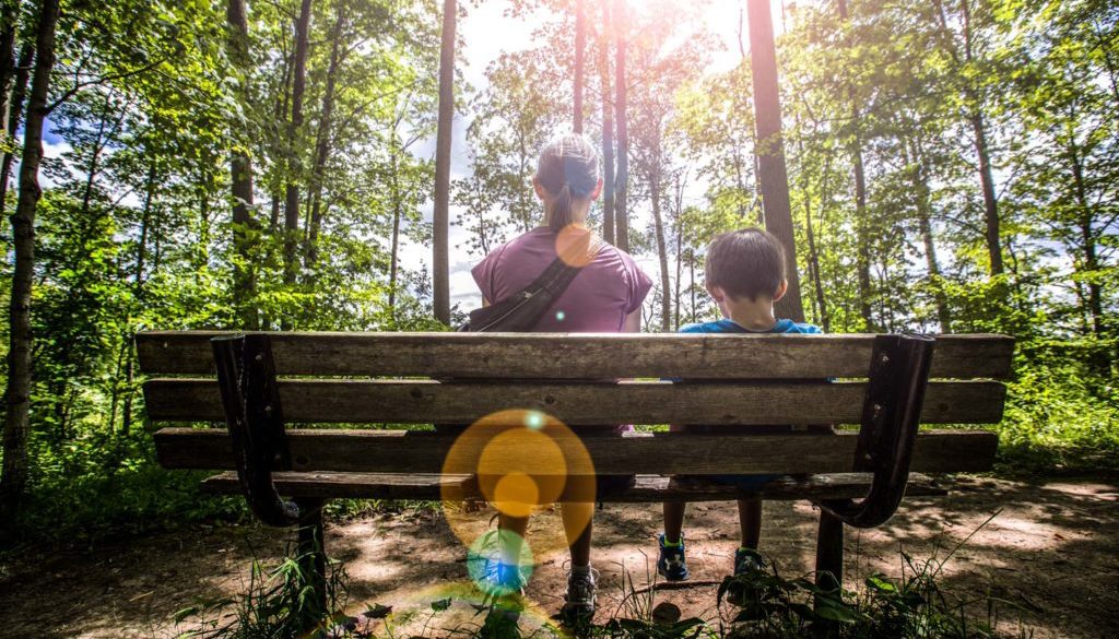 Image of the backs of a woman and boy sitting on a bench looking at the forested scene with lens flare